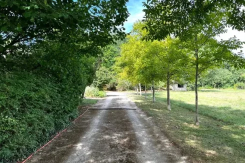 Driveway