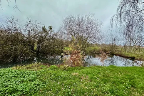 Étang