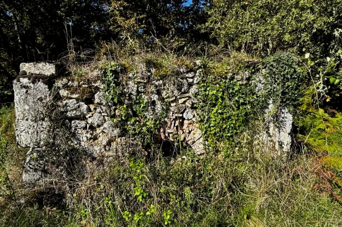 Bread oven