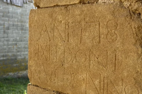 Date stone