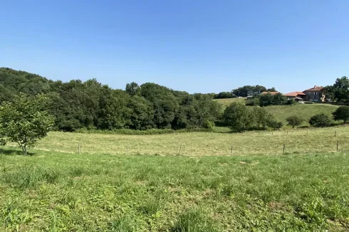 Land