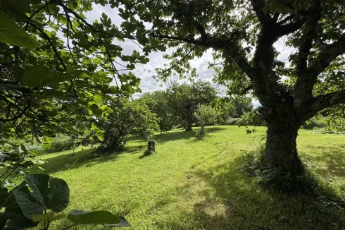 Land