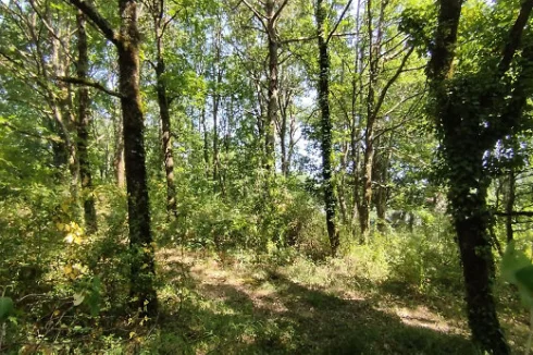 Building Plot