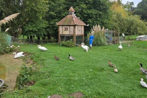 Pigeonnier