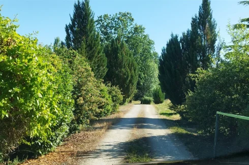 Driveway