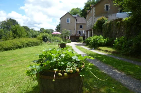 Magical Mill House with Independant Guest House