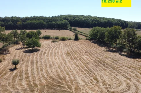 terrain à l'arrière