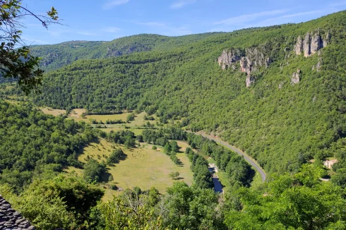 view from the terrace