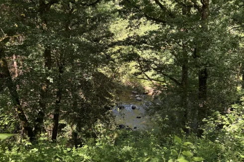 river
