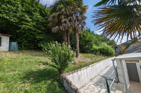 Palm trees in garden and sheds