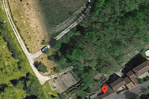 Location of the forest behind the house