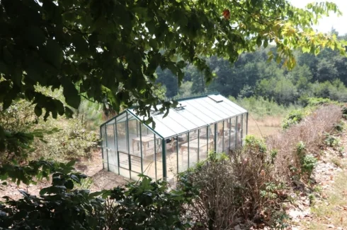 Greenhouse