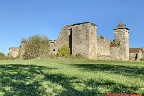 Ruins of the chateau