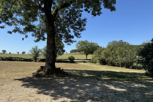 Front lawn and view