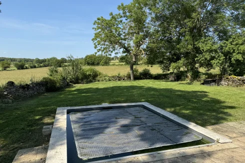 Small pool and rear garden