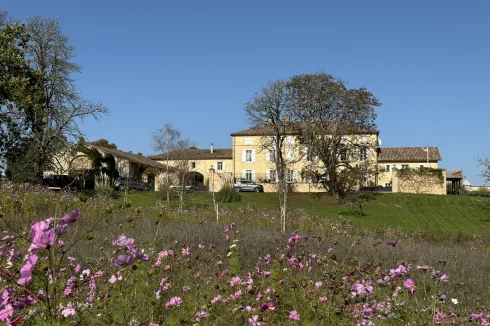 Vue depuis une prairie de fleurs sauvages