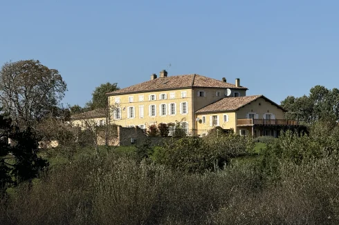 Vue depuis la forêt