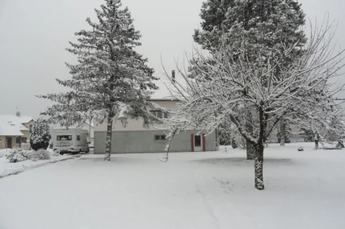 Winter garden