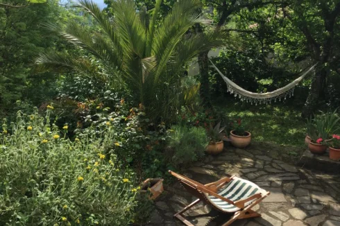 garden showing cherry trees and hammock