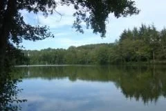 Une autre vue du lac