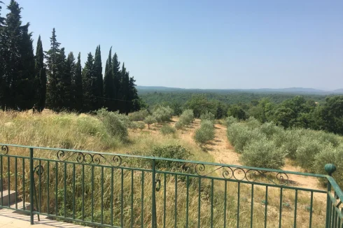 The wonderful view over the field of olive trees from the the terrace