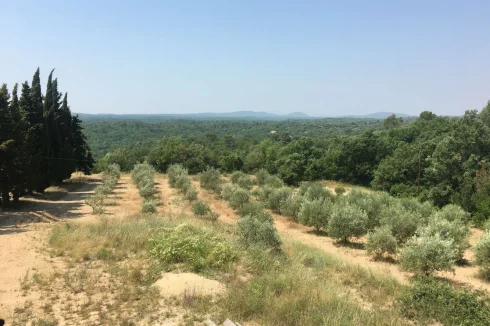 The magnificent view over the lush landscape