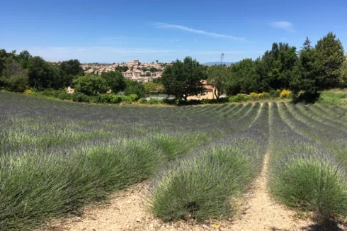 Plot of Land in the stunning Haute-Provence