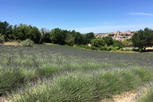 Stunning Provencal setting