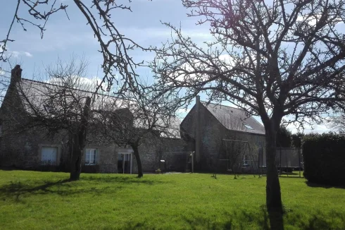 Large green spaces behind the houses