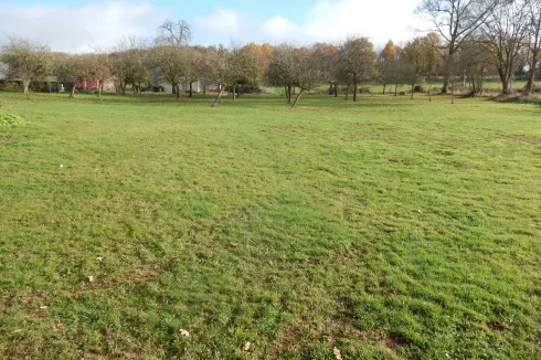 The field with trees, just near the houses