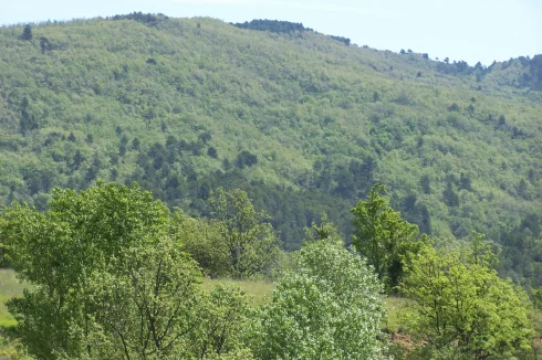 vue depuis solarium