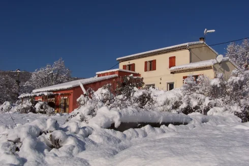 In the snow