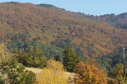 Autumn views