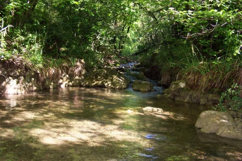 Biovosque river
