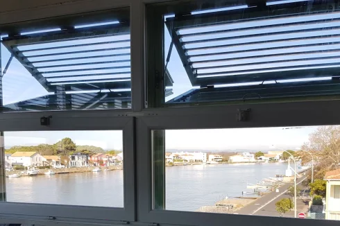 Window views
