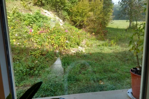View from the kitchen window towards lovely meadow at rear.