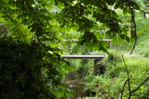 Bridge over the Stream