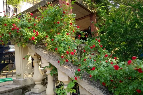 Garden steps