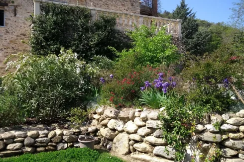 View of house from Garden