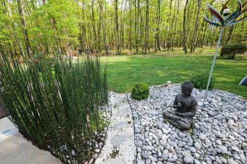 Garden looking onto woodland
