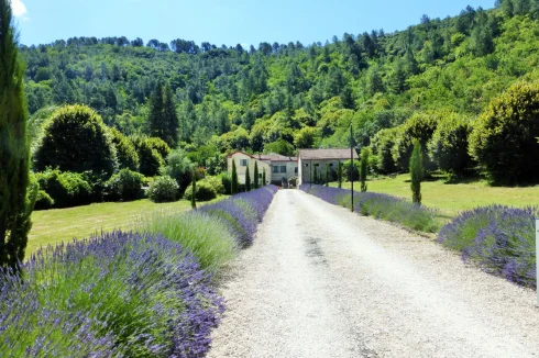 Majestic Driveway Entrance