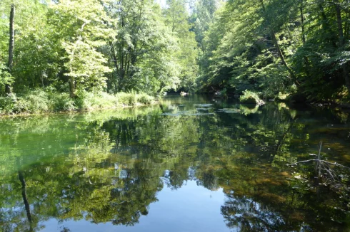 On site river swimming