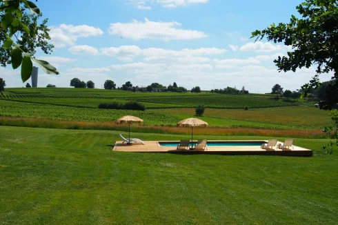 Vineyard views