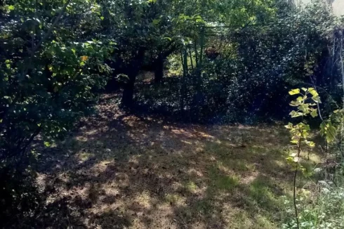 Garden   Behind the barns