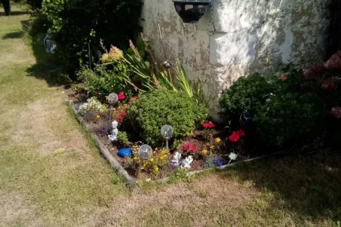 garden outside the workshop