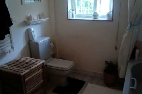 farmhouse bathroom 1