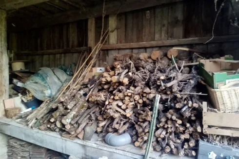 woodstore 1