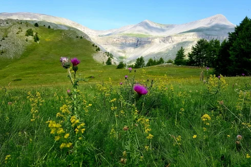 winter view to south
