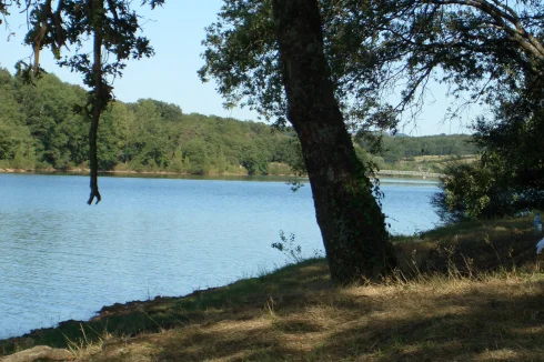 Local lake