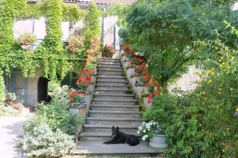 Steps to house